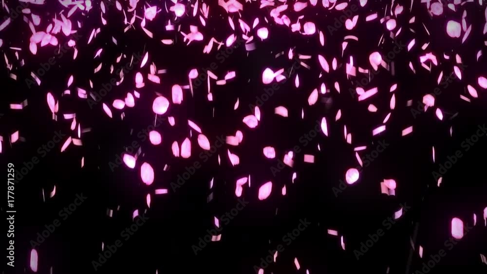 桜 花びら 舞う 満開 ループ 黒背景 桜 花びら 舞う 満開 ループ 黒背景