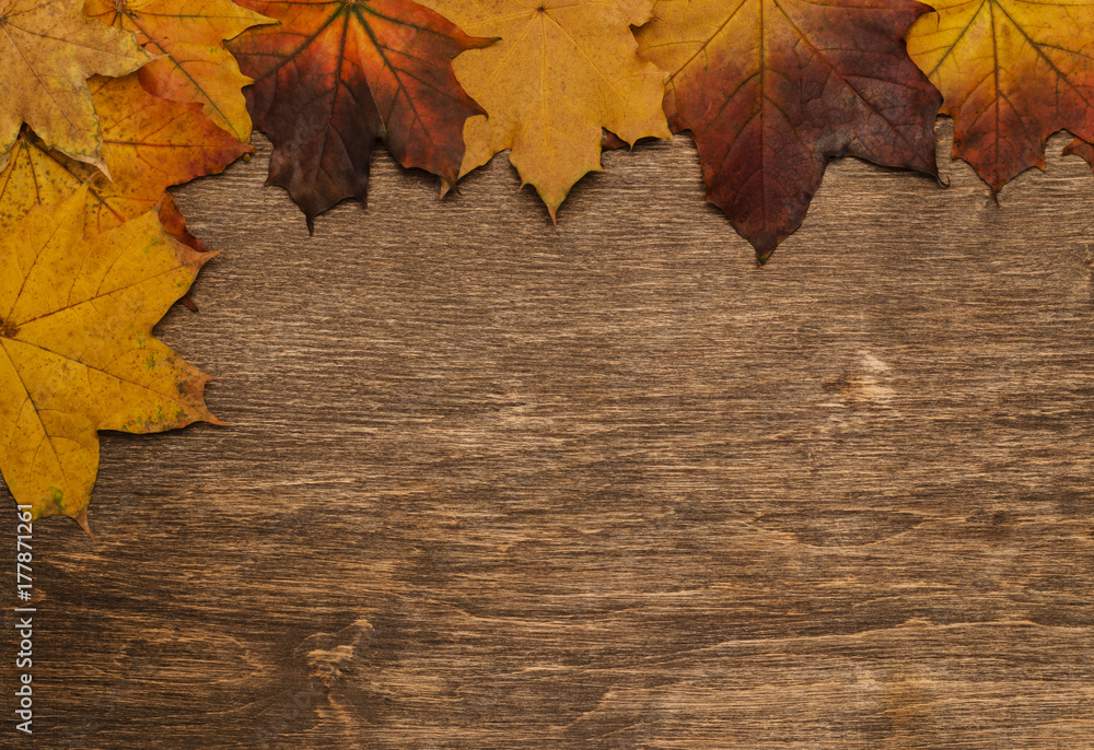 Autumn leaves on a wooden background Autumn leaves on a wooden background
