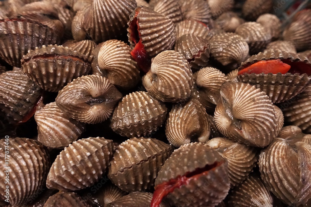 Cockles Cockles
