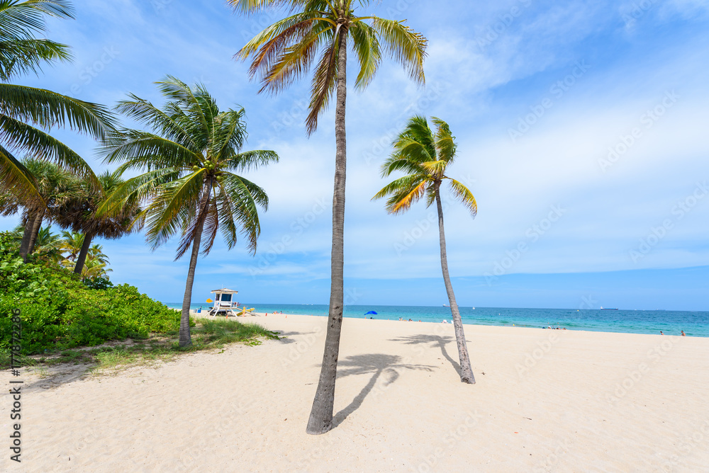 Paradise beach at Fort Lauderdale in Florida on a beautiful sumer day. Tropical beach with palms at white beach. USA.