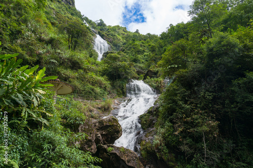 Tropical waterfall in the forest
