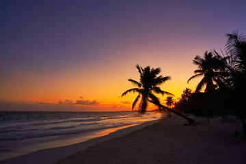 Fototapete Karibik Tulum Strand Sonnenuntergang Palme Riviera Maya  © lunamarina