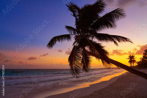 Fototapeta Naklejka Na Ścianę i Meble -  Tulum beach sunset palm tree Riviera Maya