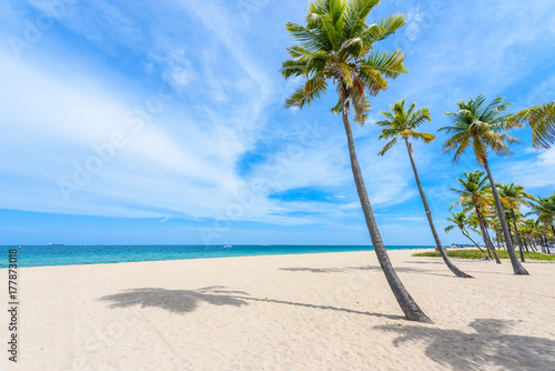 Fototapeta Naklejka Na Ścianę i Meble -  Paradise beach at Fort Lauderdale in Florida on a beautiful sumer day. Tropical beach with palms at white beach. USA.