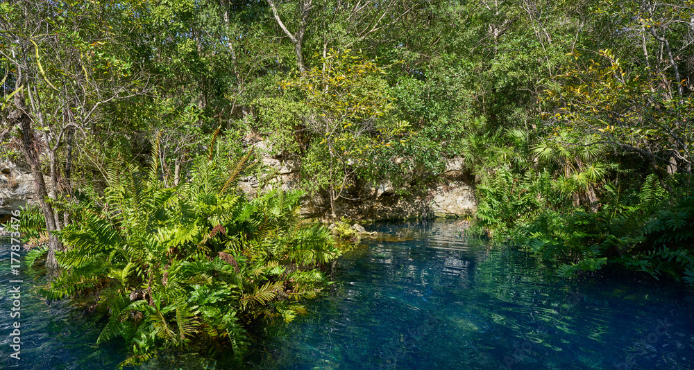 Cenote in Riviera Maya of Mayan Mexico
