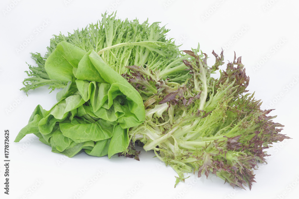 Red and green curled lollo lettuce on isolated white background Red and green curled lollo lettuce on isolated white background