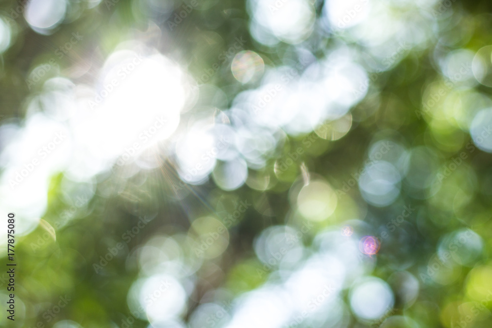 Green bokeh Green bokeh
