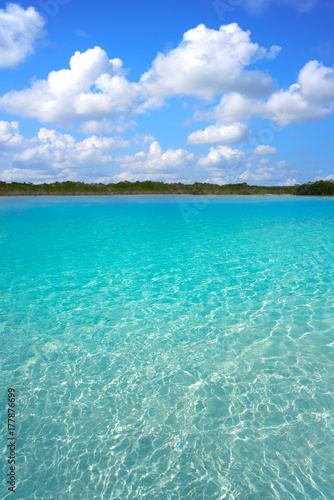 Fototapeta Naklejka Na Ścianę i Meble -  Laguna de Bacalar Lagoon in Mayan Mexico