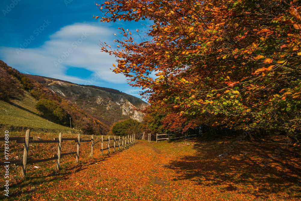 Fototapeta premium Fantastico scenario autunnale in montagna