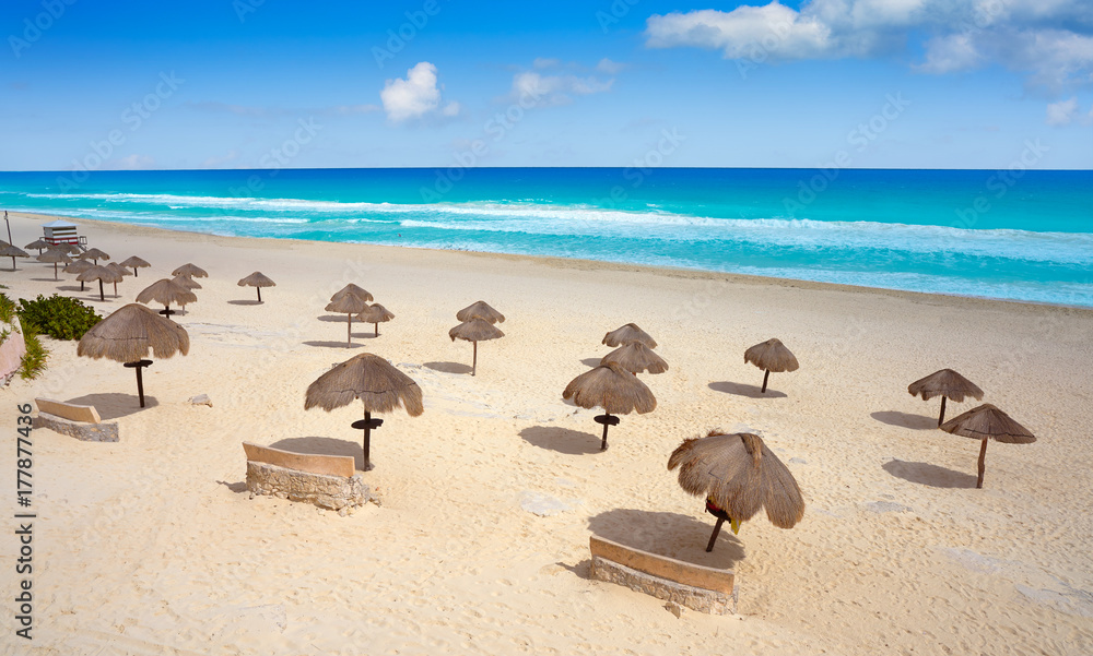 Cancun Mexico Delfines Caribbean beach