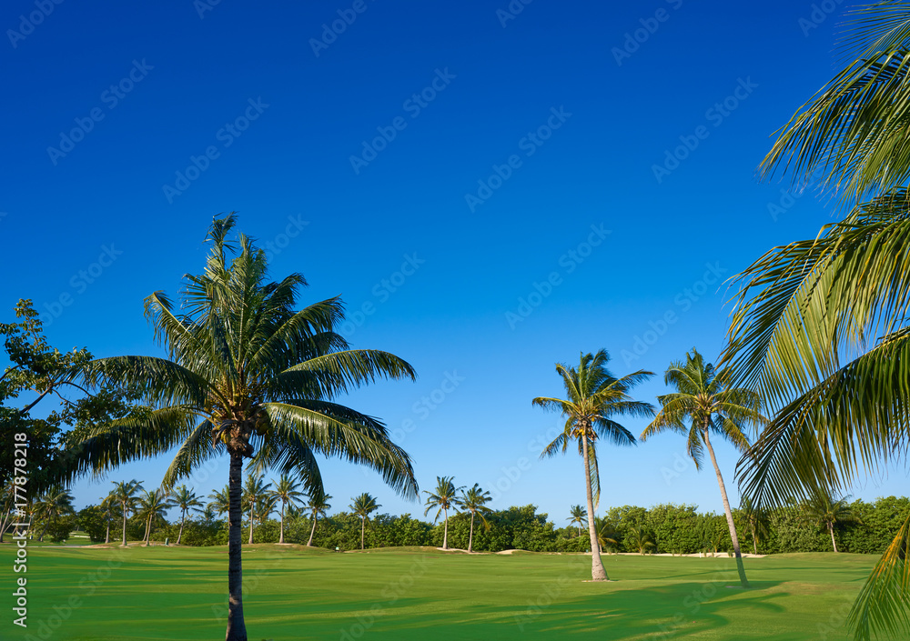 Cancun Mexico Kukulcan blvd golf course