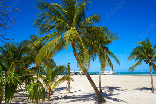 Fototapeta Naklejka Na Ścianę i Meble -  Cancun Playa Langostas beach in Mexico