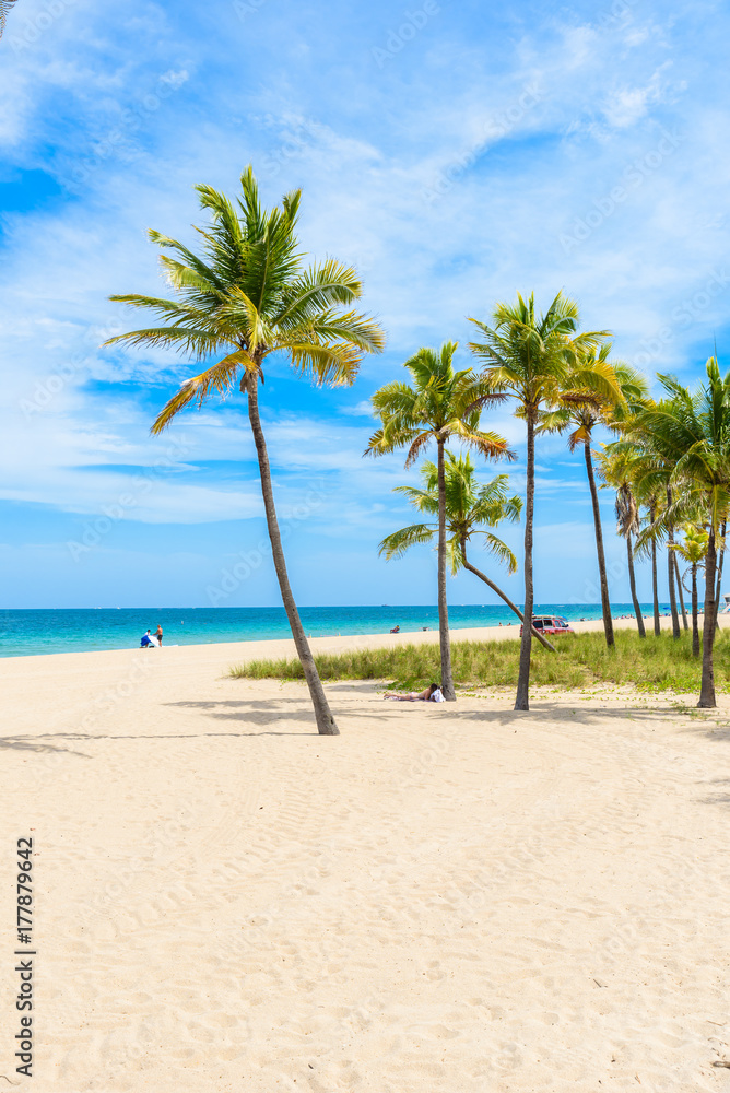 Paradise beach at Fort Lauderdale in Florida on a beautiful sumer day. Tropical beach with palms at white beach. USA.