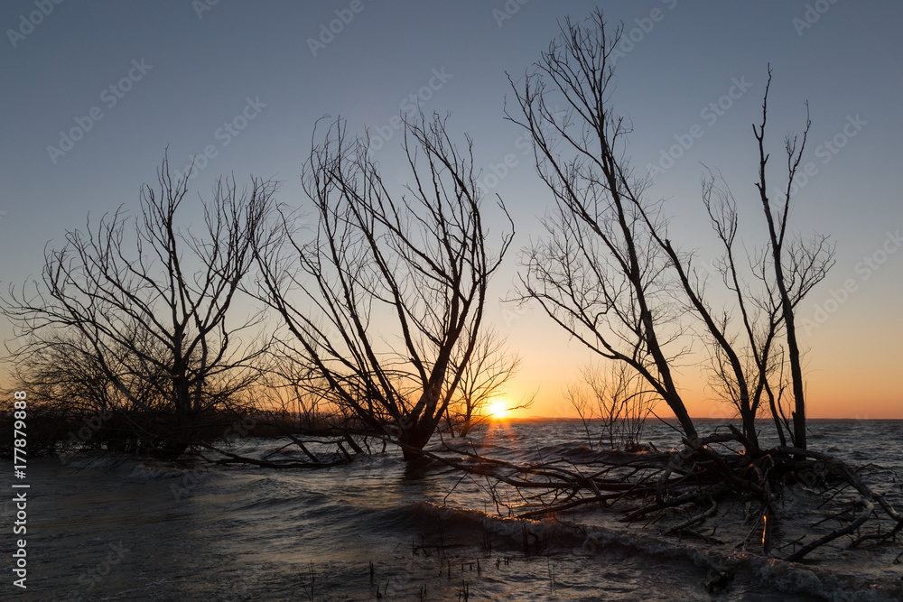 View of a lake at sunset, with skeletal trees, waves and warm colors