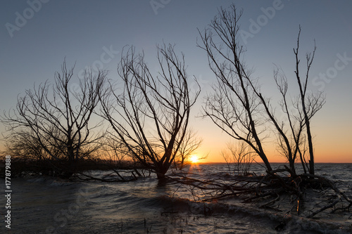 View of a lake at sunset  with skeletal trees  waves and warm colors