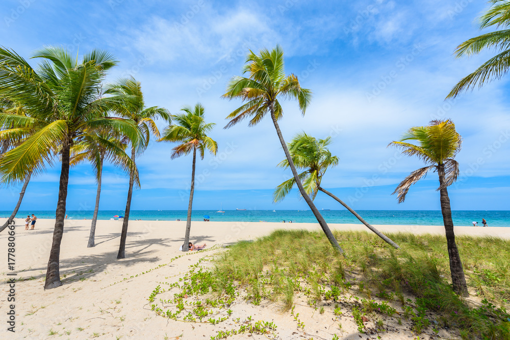 Paradise beach at Fort Lauderdale in Florida on a beautiful sumer day. Tropical beach with palms at white beach. USA.