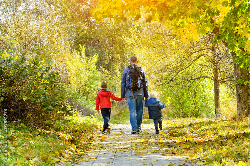 Father and two sons walking in the autumn forest. Back view Father and two sons walking in the autumn forest. Back view