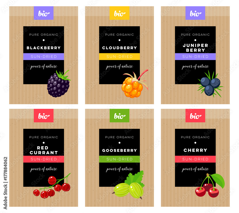 Packaging design. Concept label for natural sun-dried berries marketing . Blackberry, cloudberry, juniper, red currant, gooseberry, cherry. Vector flat template.