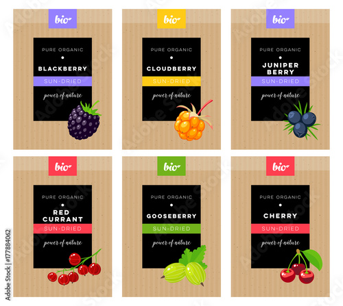 Packaging design. Concept label for natural sun-dried berries marketing . Blackberry, cloudberry, juniper, red currant, gooseberry, cherry. Vector flat template.