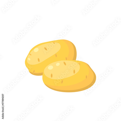 Vegetables. Unpeeled potatoes tuber. Vector illustration cartoon flat icon isolated on white.