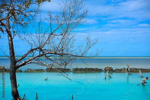 Fototapeta Naklejka Na Ścianę i Meble -  Holbox tropical Island in Quintana Roo Mexico