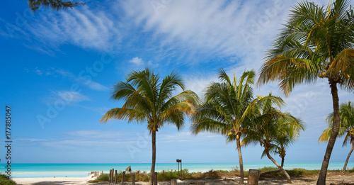 Fototapeta Naklejka Na Ścianę i Meble -  Holbox Island beach in Quintana Roo Mexico