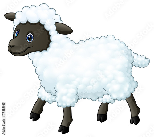 Cute sheep cartoon