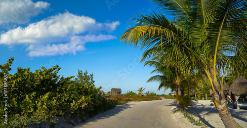 Holbox tropical Island in Quintana Roo Mexico © lunamarina