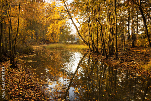 Autumn River. Pomerania  Poland
