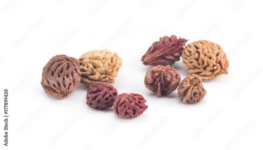 Bones of peaches on a white background Bones of peaches on a white background