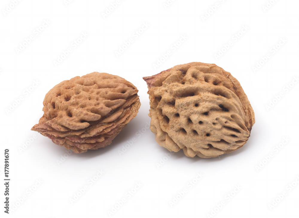 bone peach isolated on white background bone peach isolated on white background