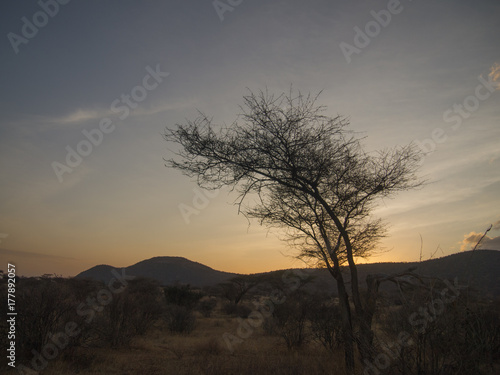 Sunset in samburu national park in kenya