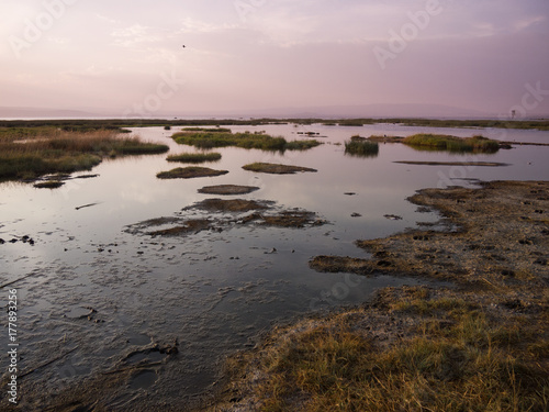 Wallpaper Mural Landscape in natural park of nakuru lake in kenya africa Torontodigital.ca