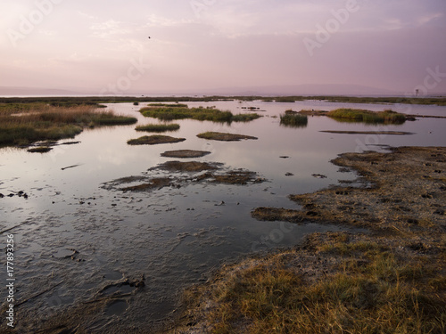 Landscape in natural park of nakuru lake in kenya africa