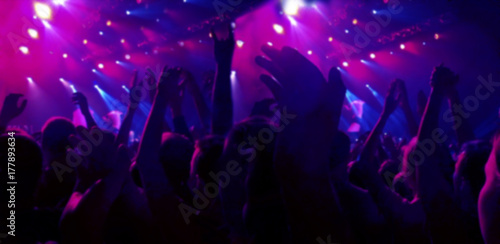 A crowd of spectators at a concert  a rock festival