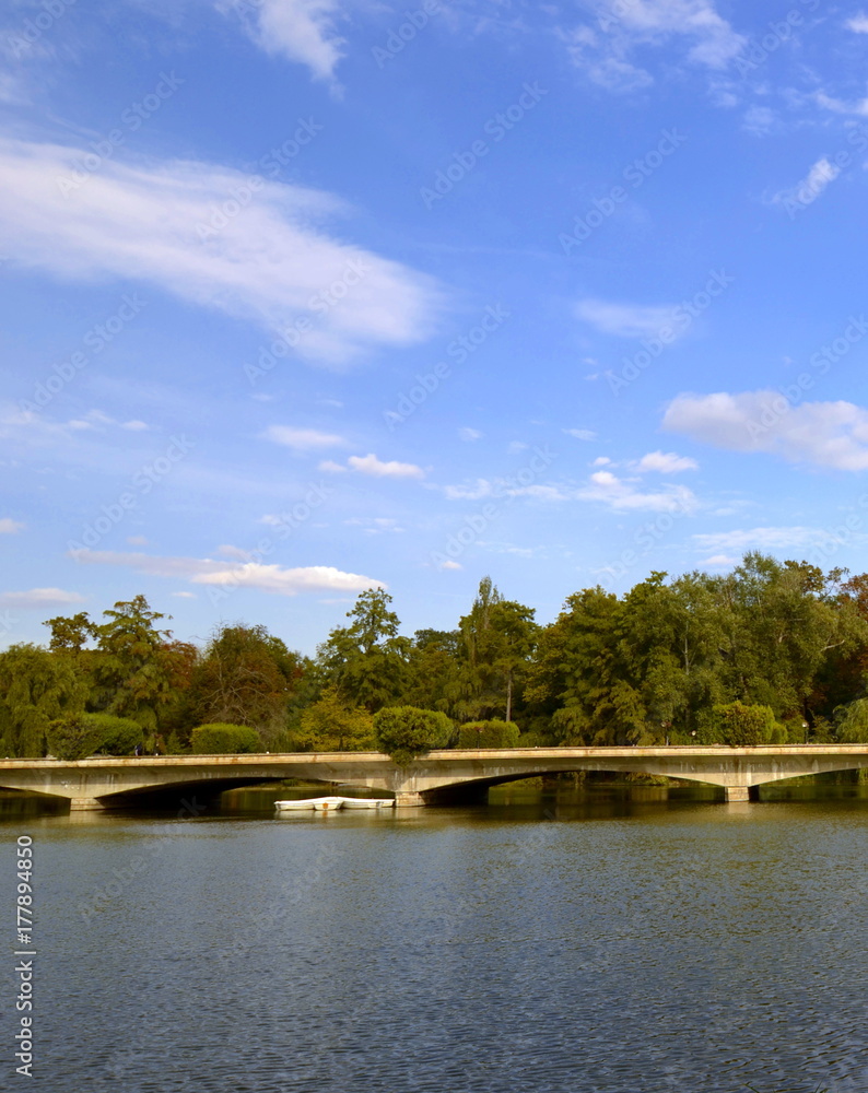 park landscape