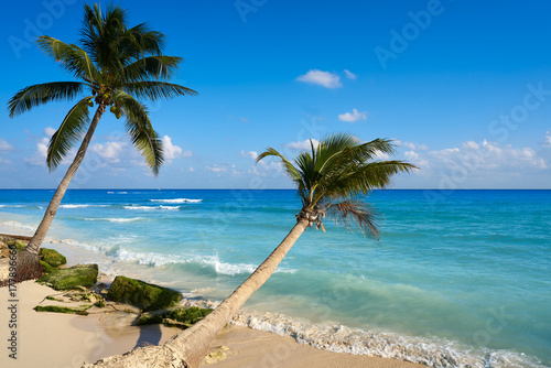 Fototapeta Naklejka Na Ścianę i Meble -  Playa del Carmen beach palm trees Mexico