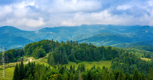 Photo of green forest and valley in Carpathian mountains © Badunchik