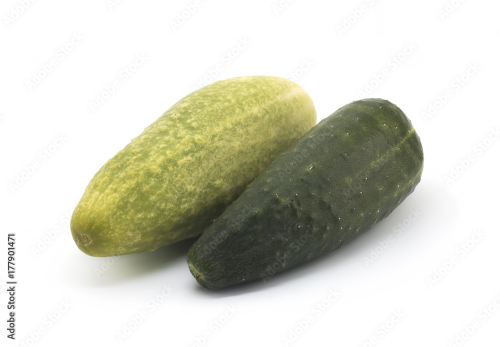 Fresh green and white cucumbers on a white background Fresh green and white cucumbers on a white background