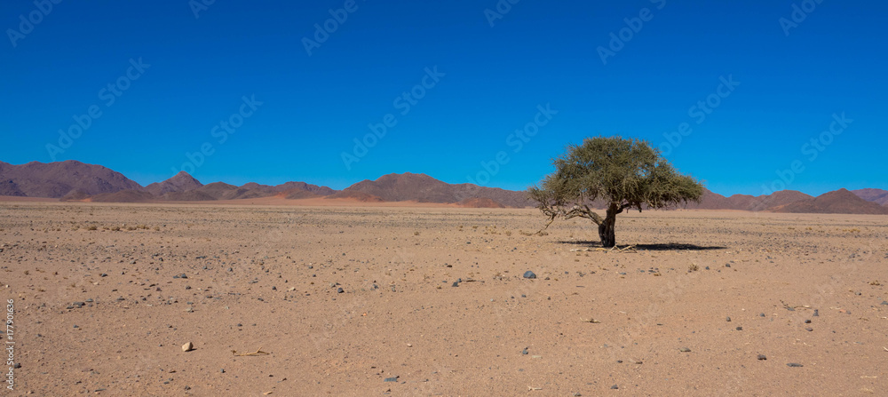 Landschaft in Namiba, Textfeld