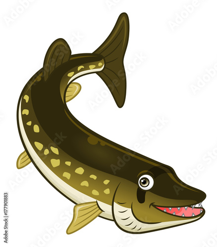 Cartoon pike