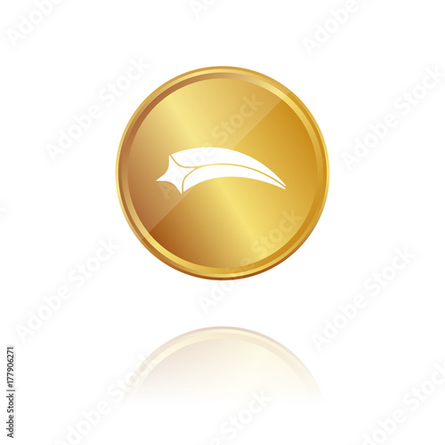 Meteor - Sternschnuppe - Gold Münze mit Reflektion
