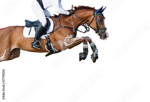 Jumping horse on white background. © Osetrik