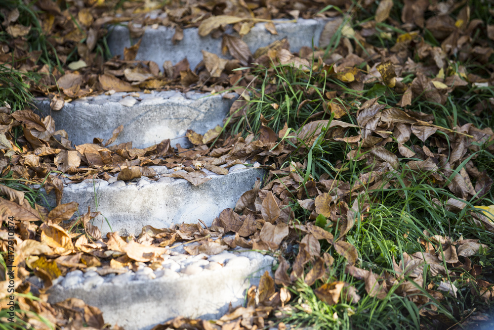 Stairs with fallen leaves Stairs with fallen leaves