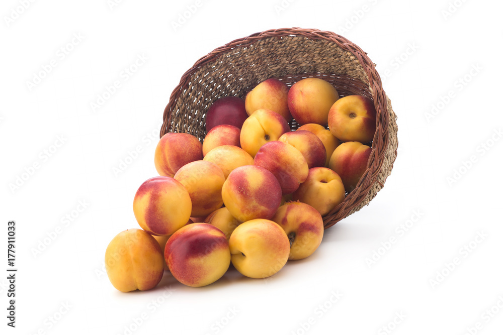 Small nectarines in a basket of straw on a white background Small nectarines in a basket of straw on a white background