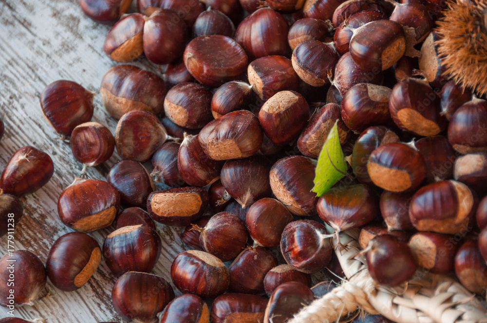 Ripe chestnuts close up. Raw Chestnuts for Christmas. Fresh sweet chestnut. Castanea sativa top wiew. Food background. Ripe chestnuts close up. Raw Chestnuts for Christmas. Fresh sweet chestnut. Castanea sativa top wiew. Food background.