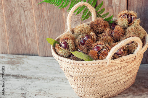 Chestnuts in the basket on the old wooden table with copy space. Raw Chestnuts for Christmas. Fresh sweet chestnut. Food background.