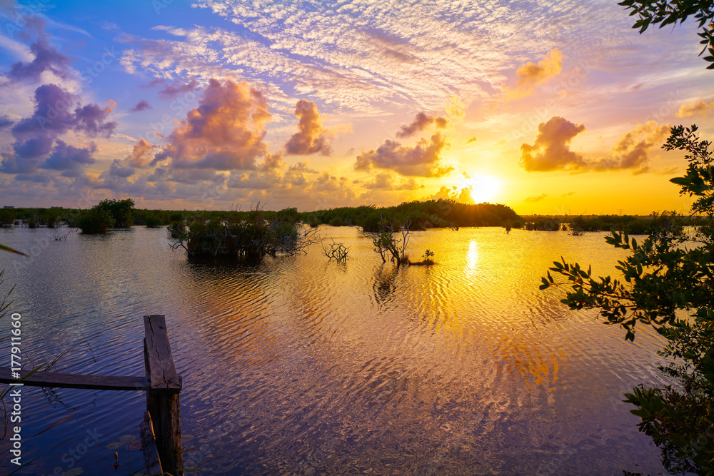 Obraz premium Mangroove sunset in Riviera Maya