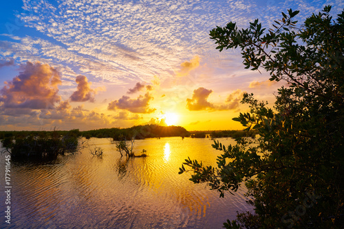 Mangroove sunset in Riviera Maya