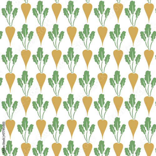 background pattern with sugar beet